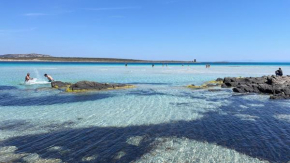 I Pescatori di Stelle-L11 VEGA